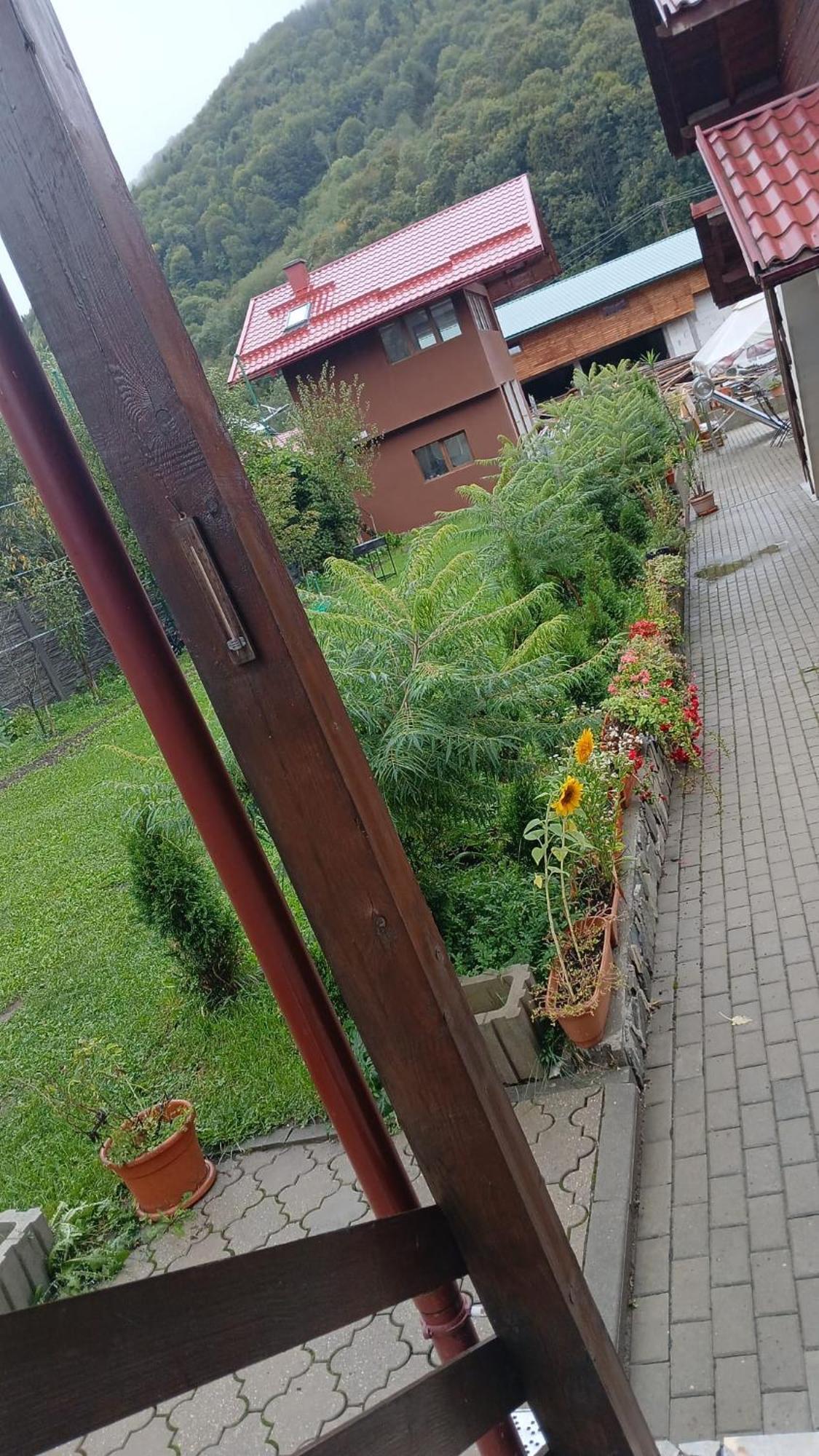 Pensiunea Carmen Bucsony Kültér fotó
