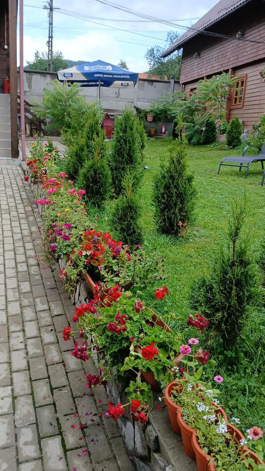 Pensiunea Carmen Bucsony Kültér fotó